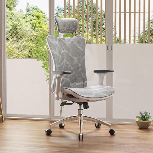 SIHOO M57 - Silla de Oficina ergonómica - Imagen 2